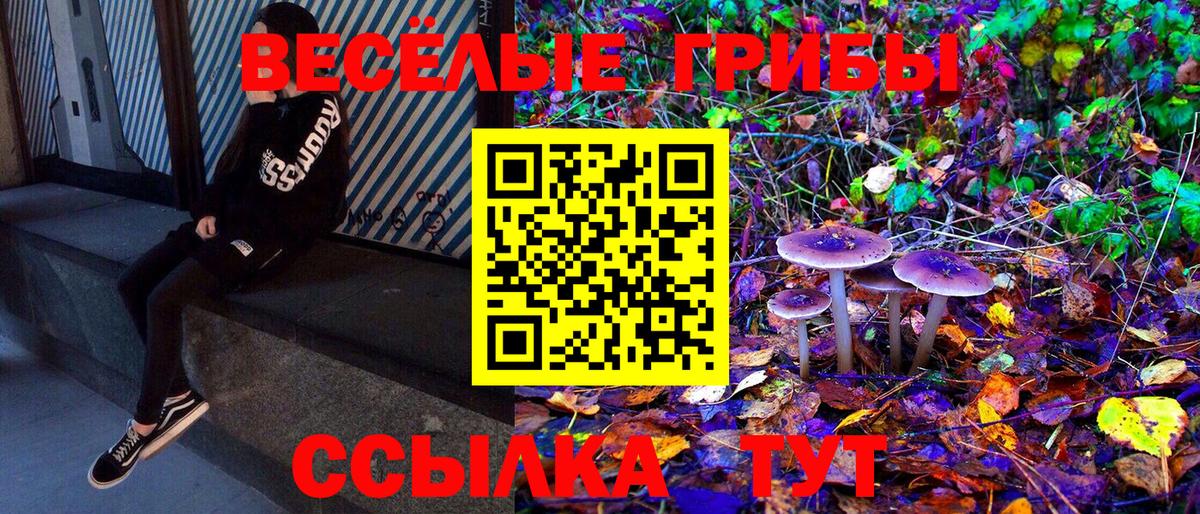 Галлюциногенные грибы Magic Shrooms  Вход с VPN  Новочеркасск  Галлюциногенные грибы Cubensis 