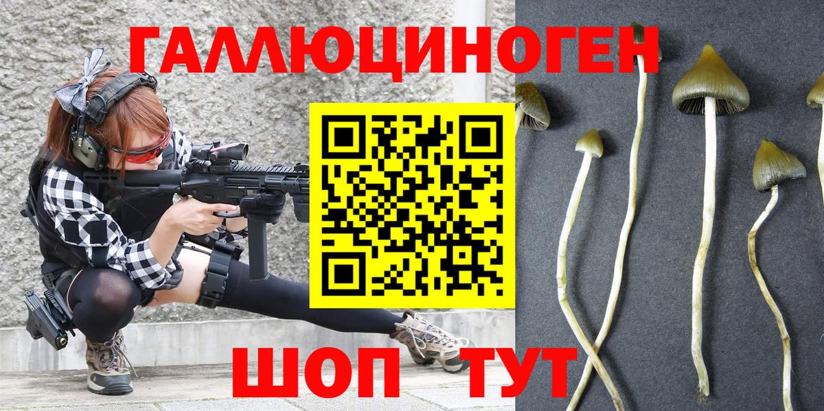 Псилоцибиновые грибы мицелий Новочеркасск